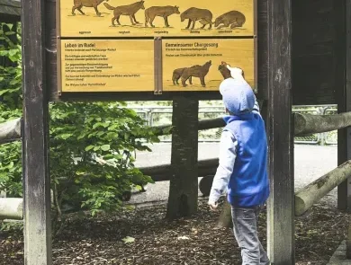 wildgehege messstetten